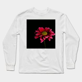 Daisy on Black Long Sleeve T-Shirt